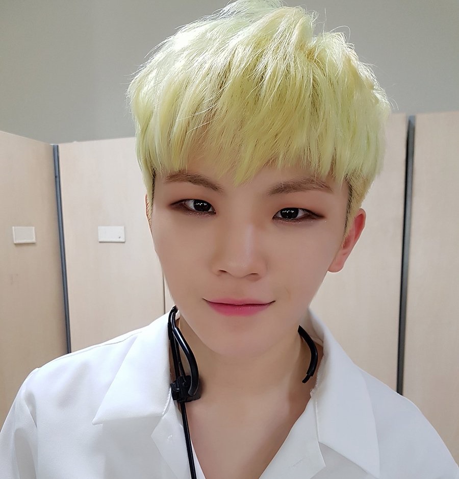 SEVENTEEN ウジ ピアス WOOZI | maltsev-worldwide.com