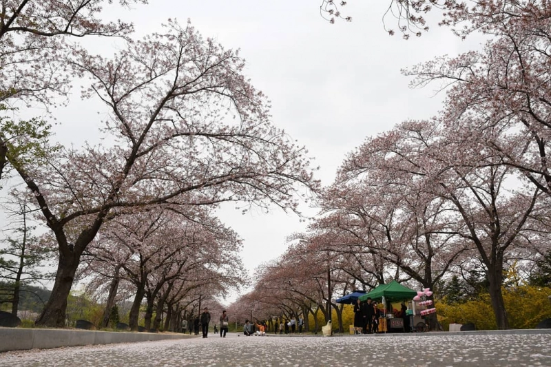 慶州 キョンジュ の基本情報 韓国の古都 世界遺産の都市