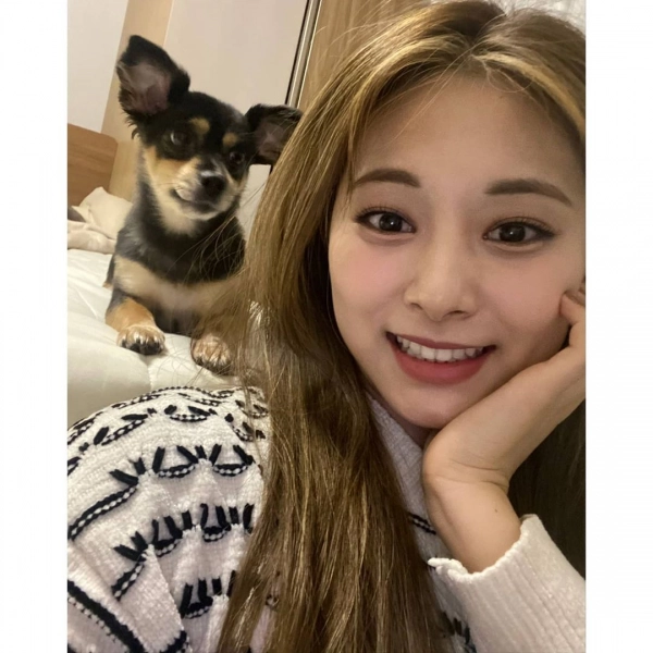 Twiceやbtsも 保護犬の里親として知られるk Popアイドルまとめ