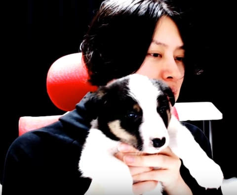 Twiceやbtsも 保護犬の里親として知られるk Popアイドルまとめ