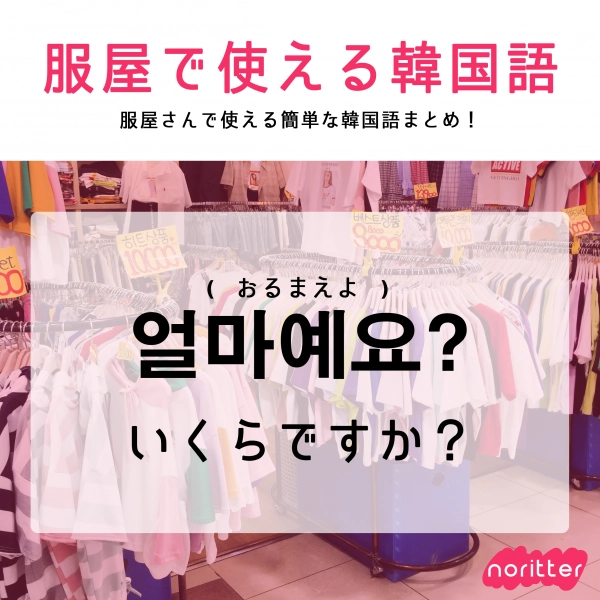 服屋 コレクション 韓国語