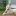韓国は今ペットブーム‼韓国で人気のかわいい犬ランキングを一挙大公開♡